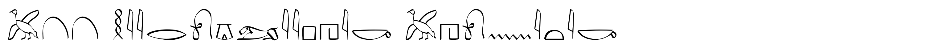 P22 Hieroglyphic Phonetic